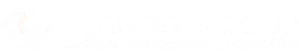plaster Group